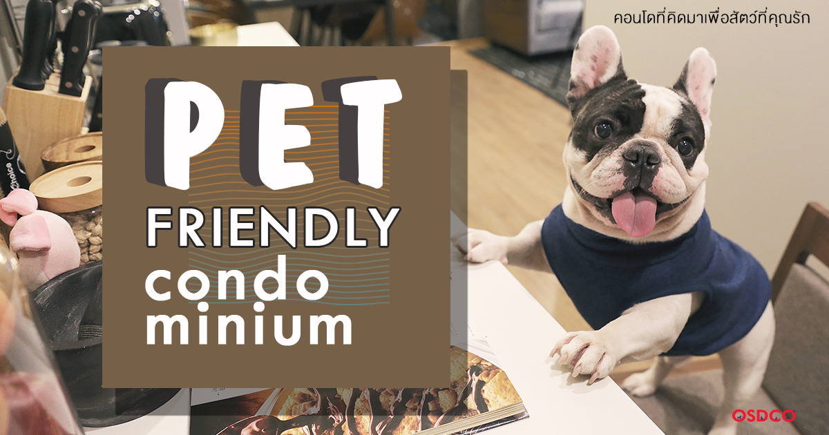 PET friendly condominium คอนโดที่คิดมาเพื่อสัตว์เลี้ยงที่คุณรัก