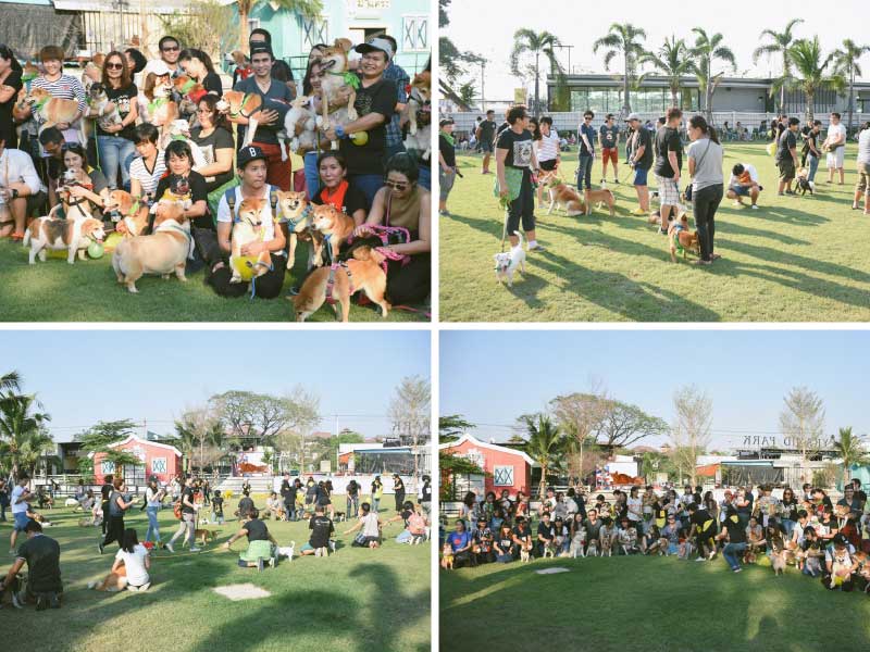 Fit & Fun 2017 Fit & Fun 2017