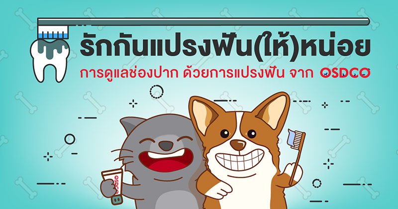 รักกันแปรงฟัน (ให้) หน่อย