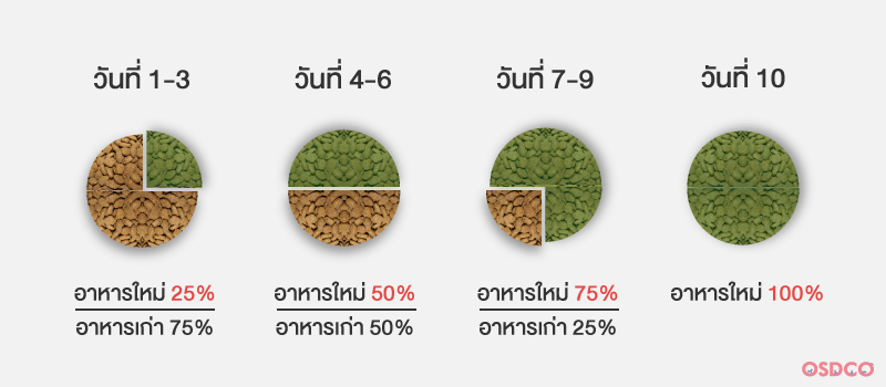 ผสมสูตรอาหารใหม่