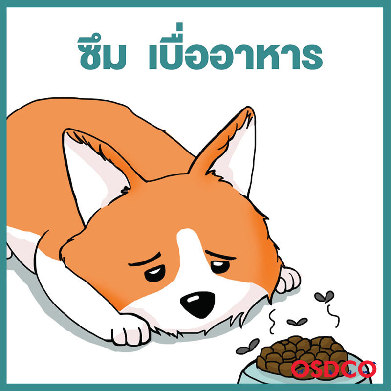 ซึม เบื่ออาหาร