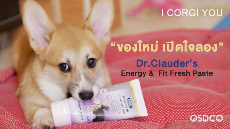 Dr.Clauder’s Energy & Fit Fresh Paste