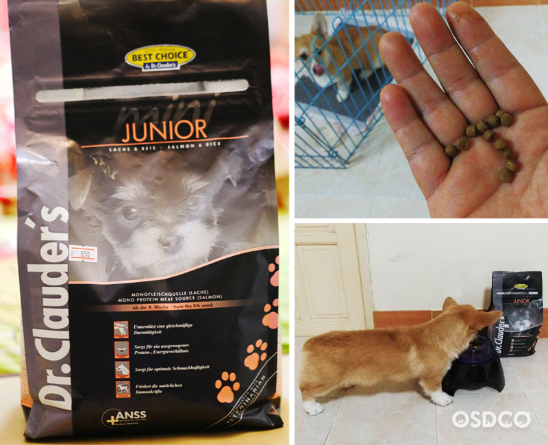 Dr.Clauder’s Junior Small Breed สูตร Salmon & Rice