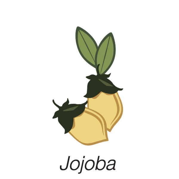 jojoba Oil