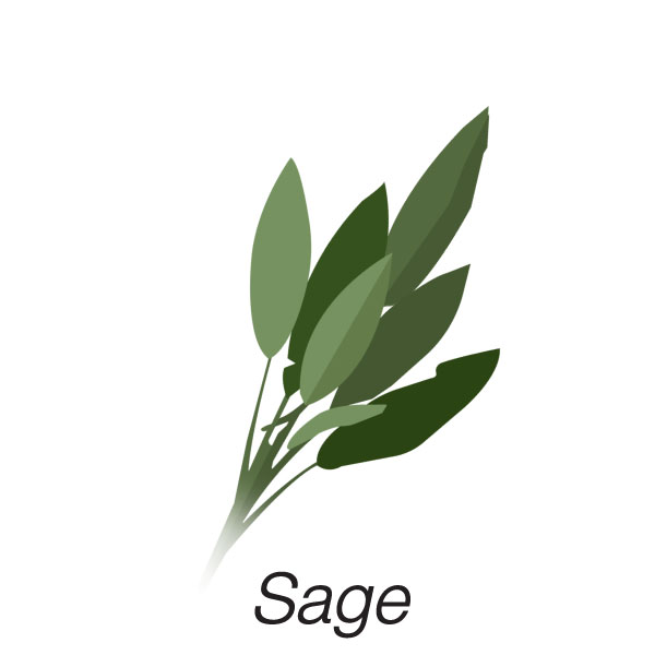 Sage