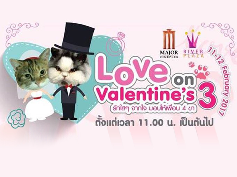 Love On Valentine’s Season 3