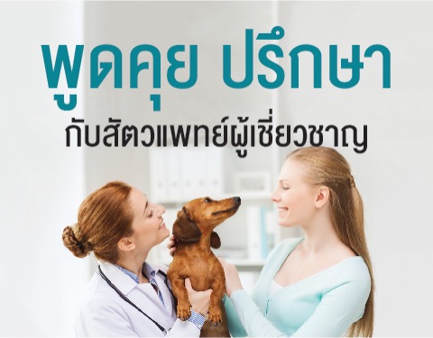 ตอบปัญหาเพื่อนสัตว์เลี้ยง