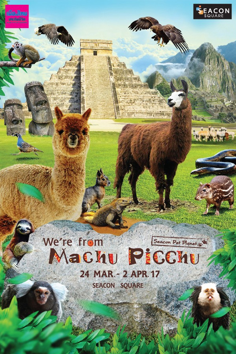 Seacon Pet Planet “We’re from Machu Picchu”
