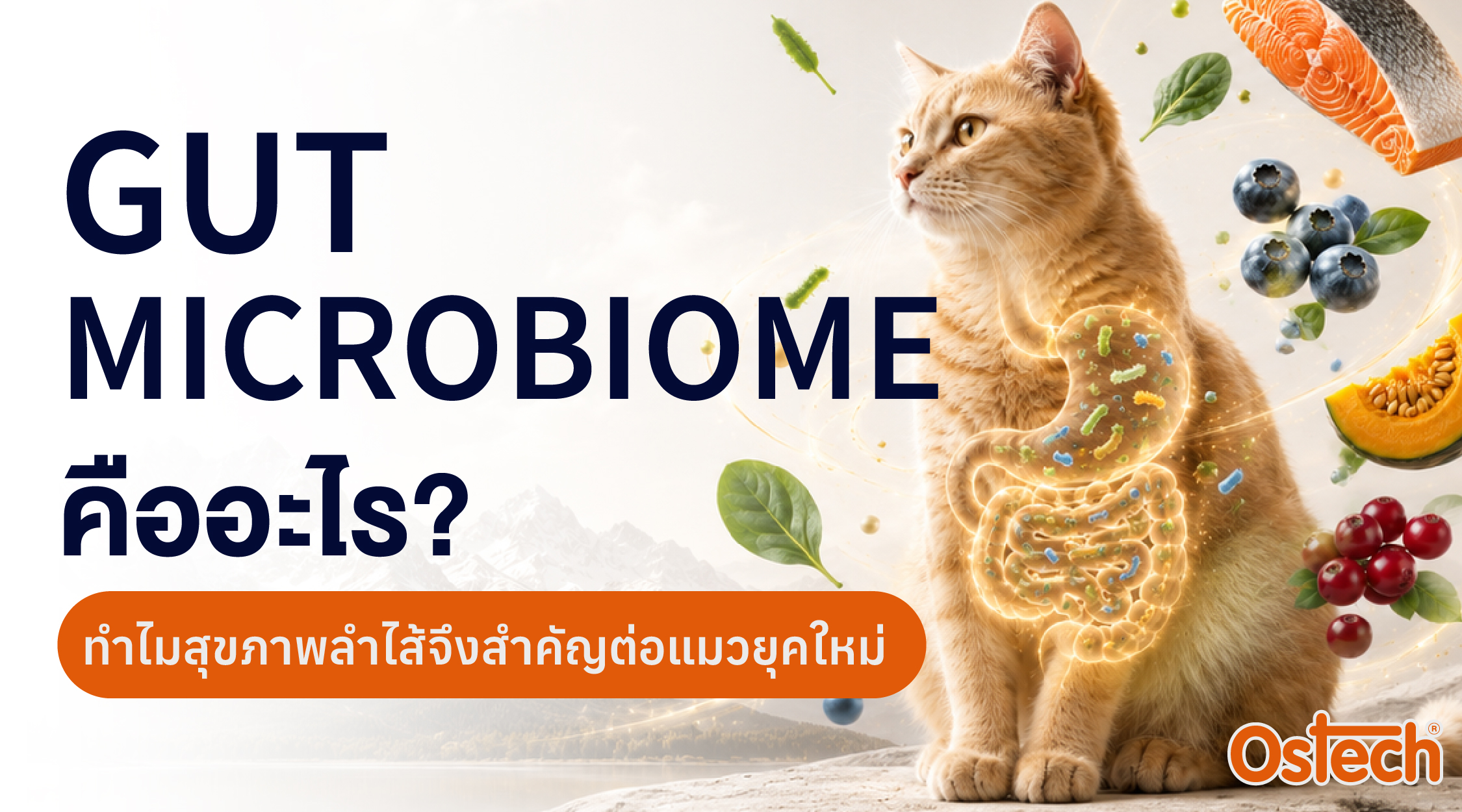 Gut Microbiome คืออะไร? ทำไมสุขภาพลำไส้จึงสำคัญต่อแมวยุคใหม่