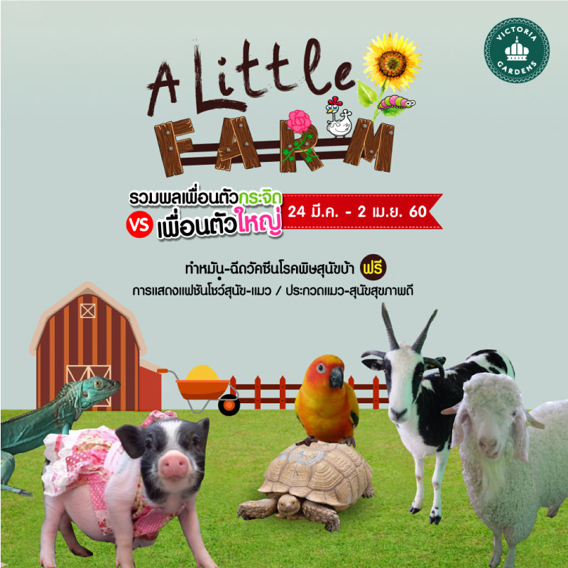 A Little Farm A Little Farm
