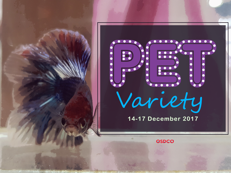 ภาพบรรยากาศ 7th PET Variety Dot fest....สีสันลายจุด