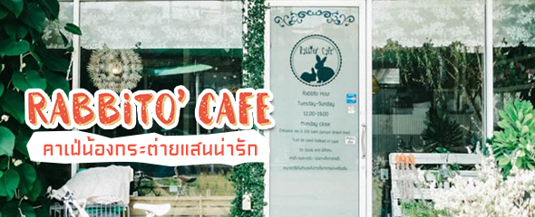 Rabbito' cafe คาเฟ่น้องกระต่ายแสนน่ารัก