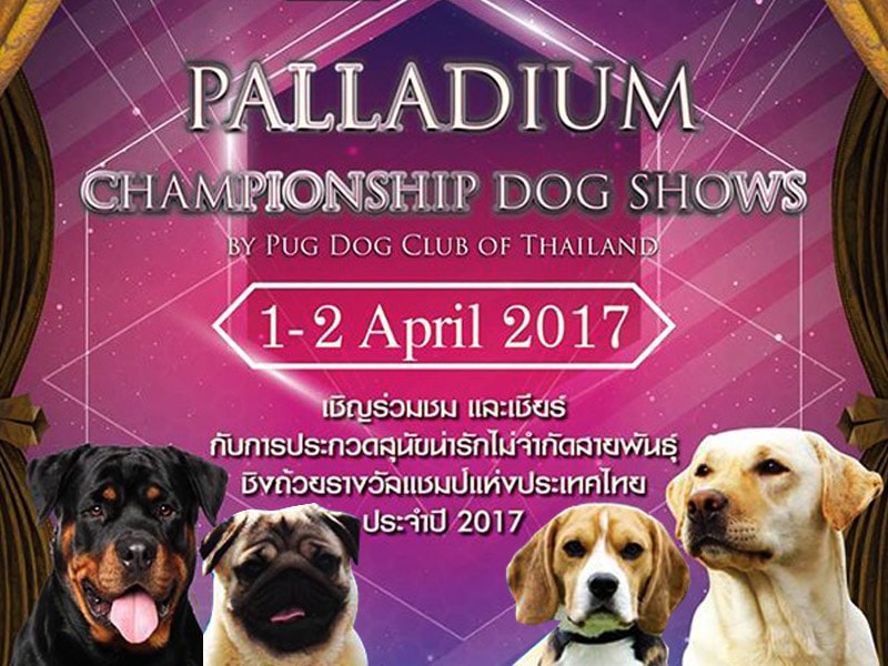 Palladium Championship Dog Show by Pug Dog Club Of Thailand