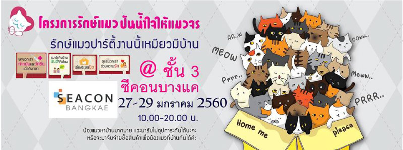 รักษ์แมวปาร์ตี้ งานนี้เหมียวมีบ้าน รักษ์แมวปาร์ตี้ งานนี้เหมียวมีบ้าน