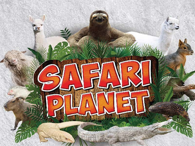 SAFARI PLANET