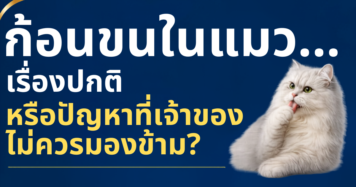 ก้อนขนในแมว…เรื่องปกติ หรือสัญญาณที่เจ้าของไม่ควรมองข้าม?