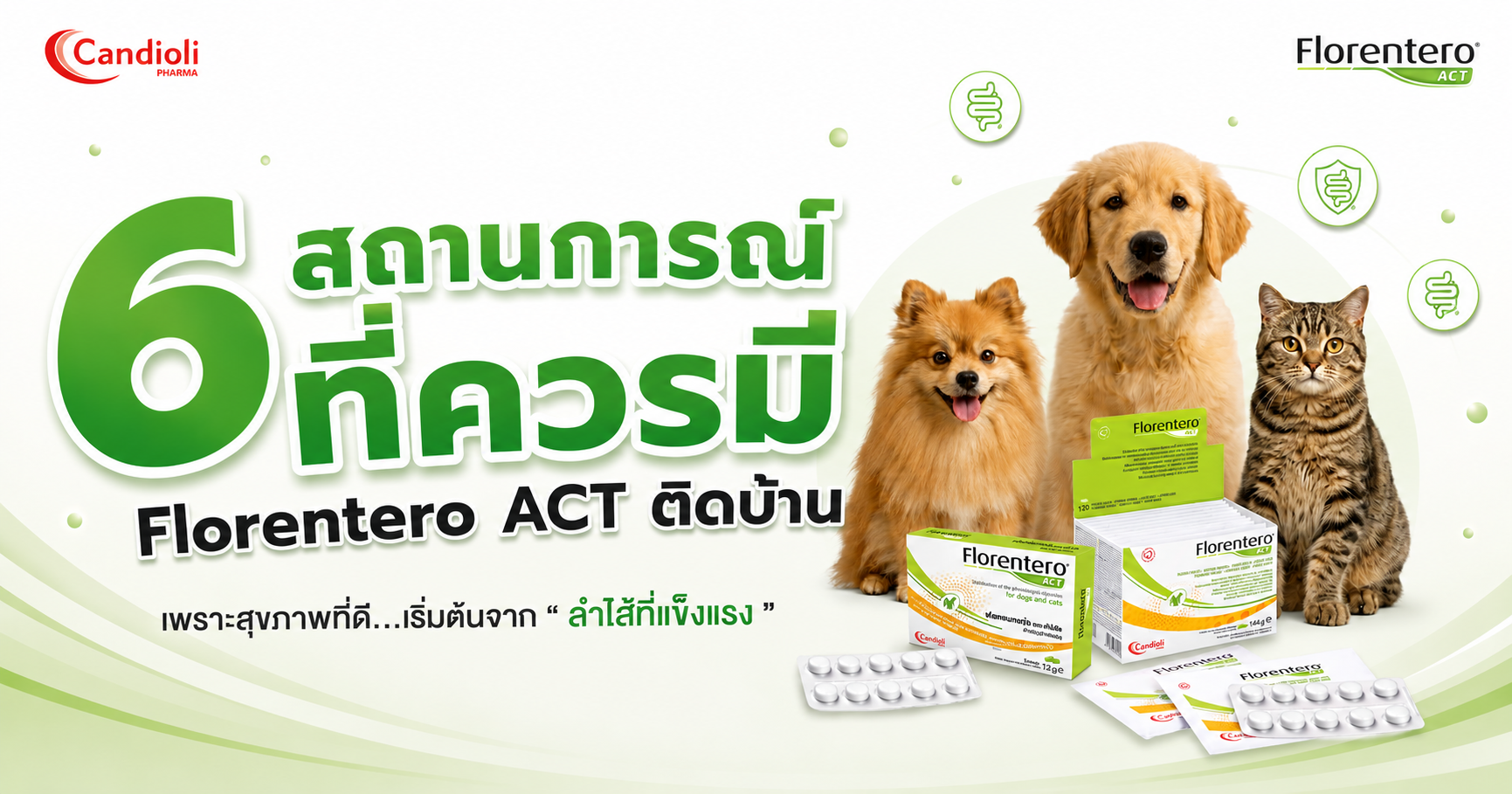 6 สถานการณ์ที่ควรมี Florentero ACT ติดบ้าน | ดูแลสุขภาพลำไส้สุนัขและแมว