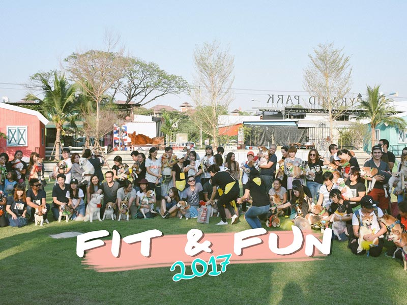 Fit & Fun 2017