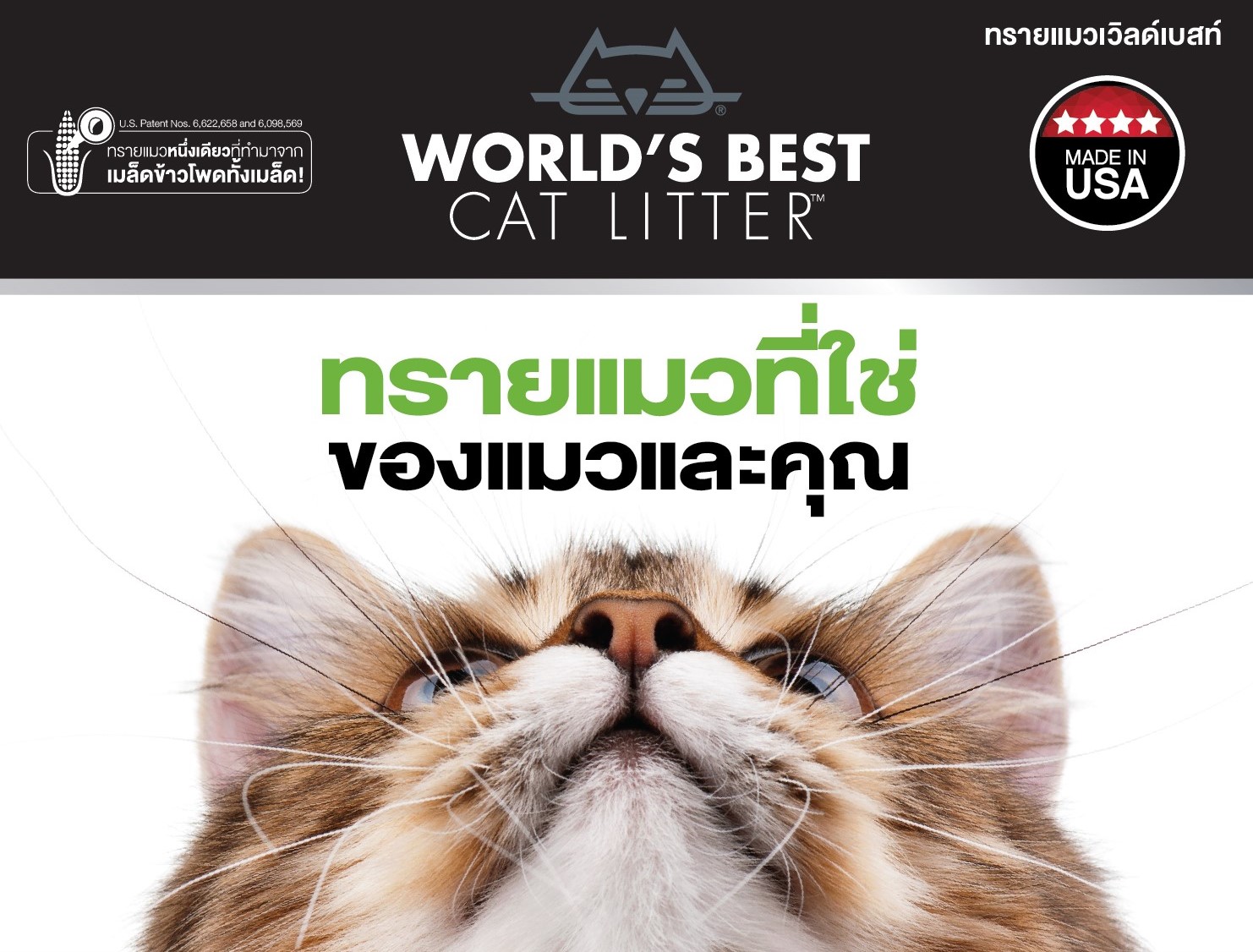 World's Best Cat Litter