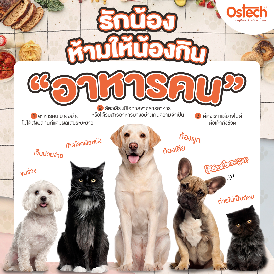 รักน้องต้องห้ามทำ! ทำไมถึงห้ามไม่ให้สัตว์เลี้ยงกินอาหารคน รักน้องต้องห้ามทำ! ทำไมถึงห้ามไม่ให้สัตว์เลี้ยงกินอาหารคน