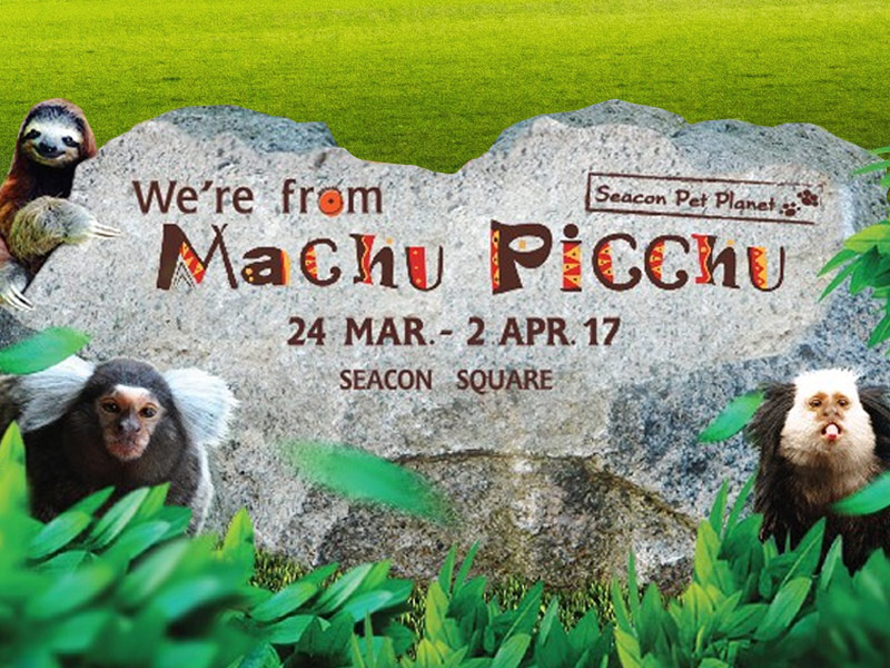 Seacon Pet Planet “We’re from Machu Picchu”