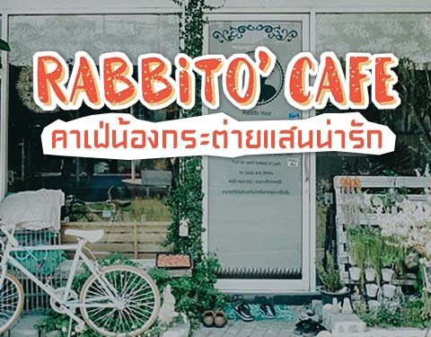 Rabbito' cafe คาเฟ่น้องกระต่ายแสนน่ารัก