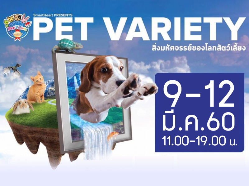 PET VARIETY ตอน สิ่งมหัศจรรย์ของโลกสัตว์เลี้ยง