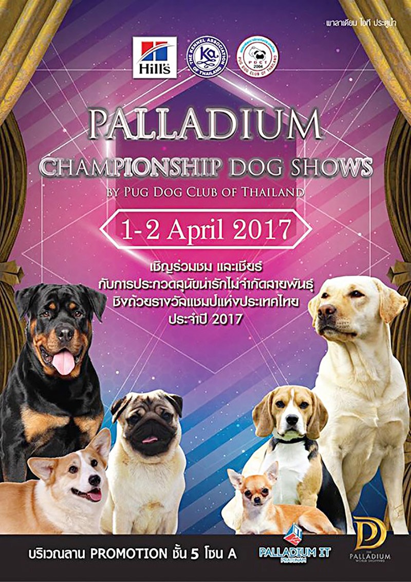 Palladium Championship Dog Show by Pug Dog Club Of Thailand Palladium Championship Dog Show by Pug Dog Club Of Thailand
