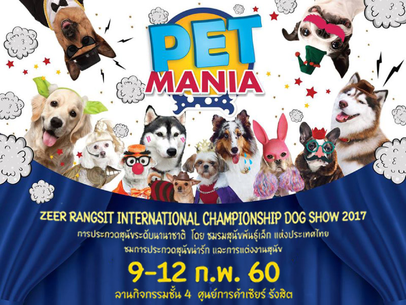 Pet Mania 