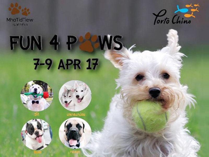 หมาติดเที่ยว "Fun 4 Pows" 