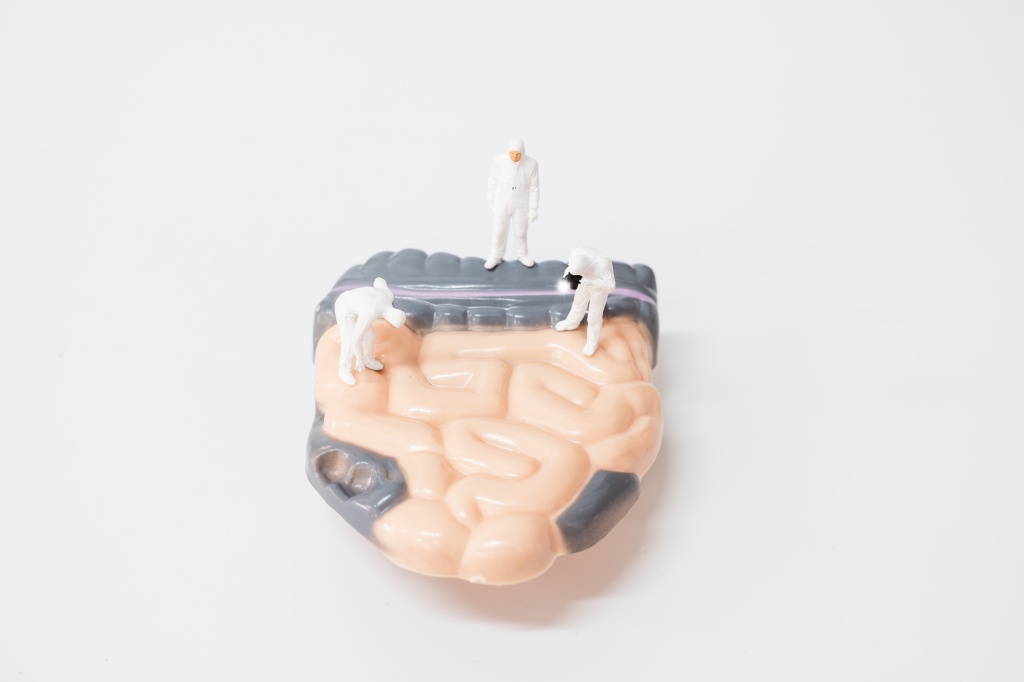 vecteezy_miniature-doctors-researching-intestinal-problems-science_2077695.jpg