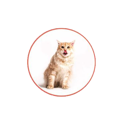 04.png 04.png