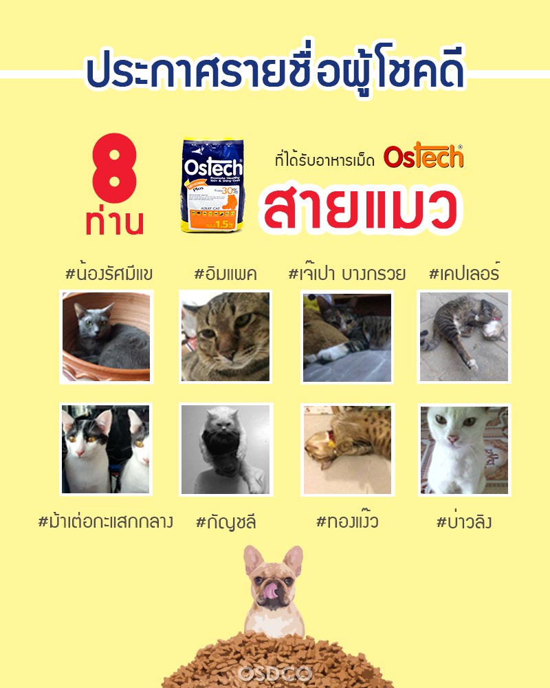 ประกาศผู้โชคดีจากกิจกรรม “ชื่อสัตว์เลี้ยงสุดจ๊าบ” สายน้องแมว ประกาศผู้โชคดีจากกิจกรรม “ชื่อสัตว์เลี้ยงสุดจ๊าบ” สายน้องแมว