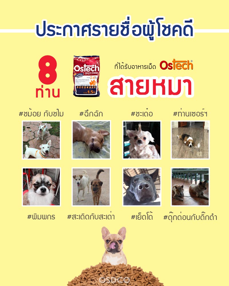 ประกาศรายชื่อผู้โชคดีกิจกรรม "ชื่อสัตว์เลี้ยงสุดจ๊าบ" สายน้องหมา